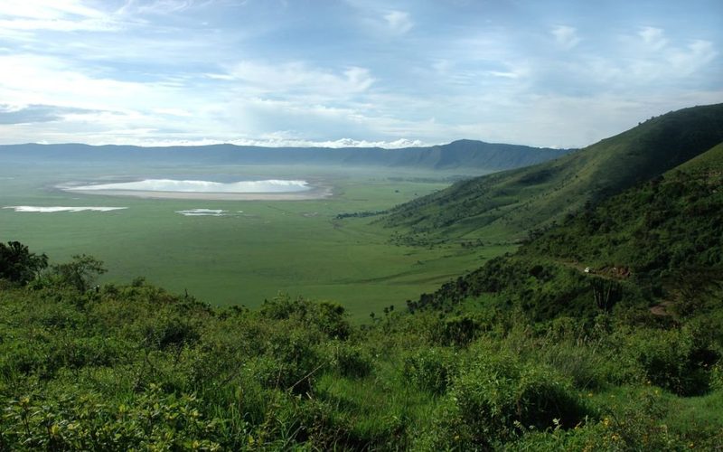 Wildlife in Ngorongoro Crater