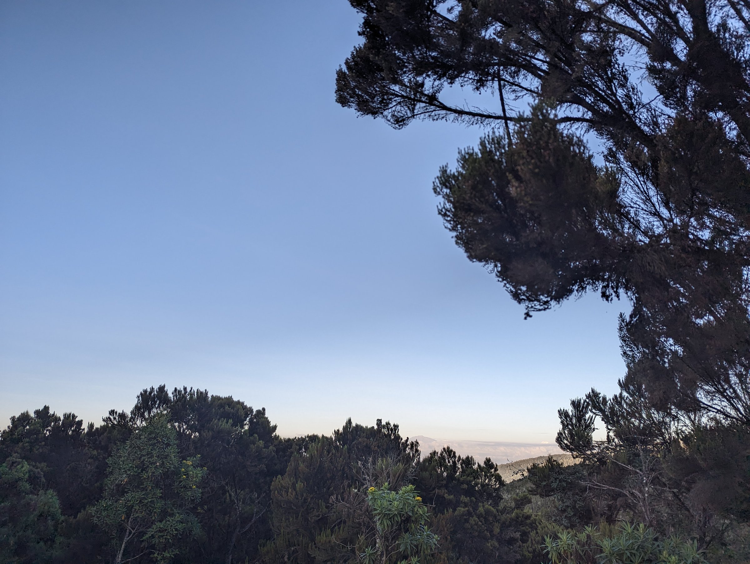 A tent at Barranco Camp beneath the dark Barranco Wall.
