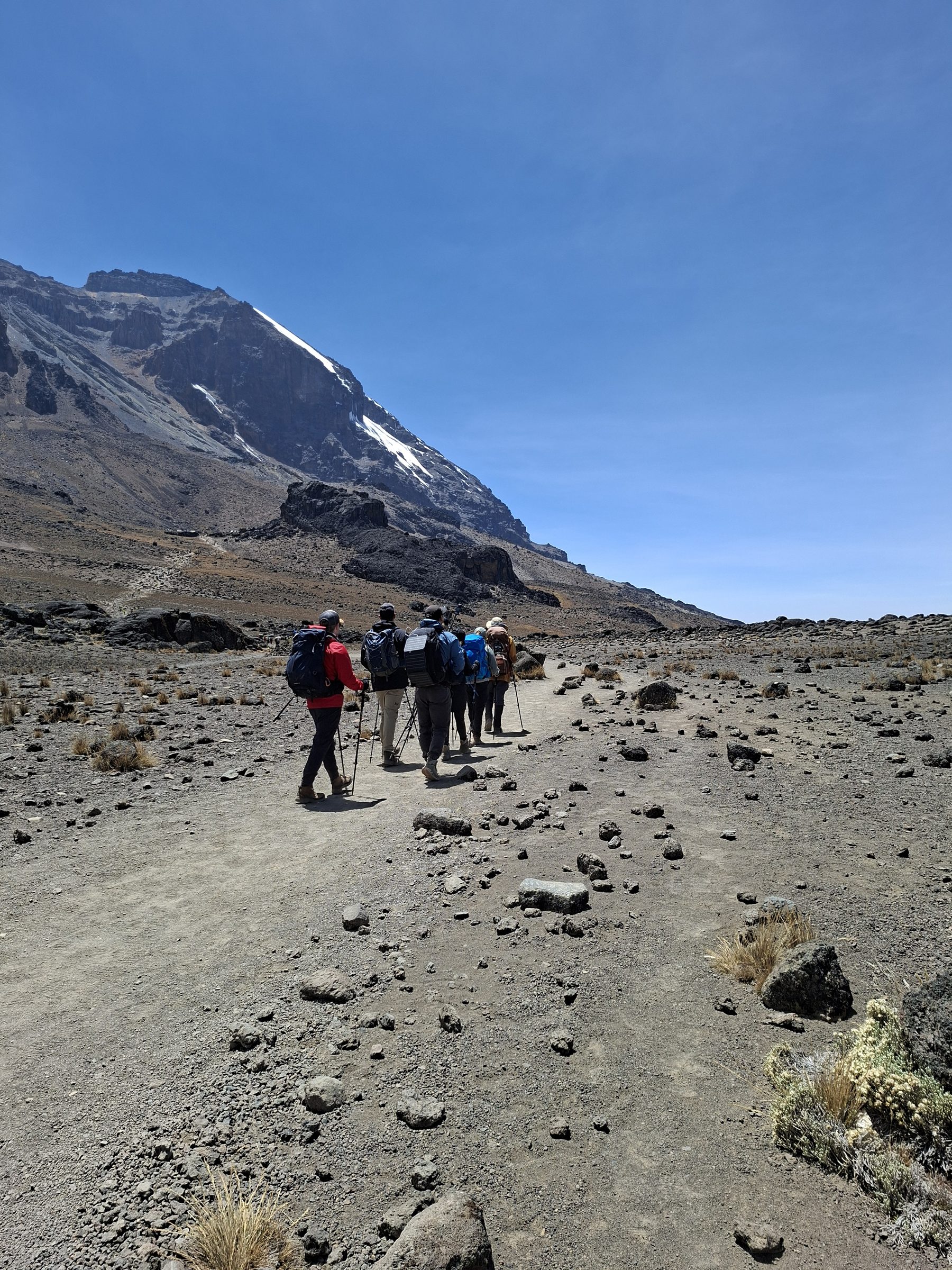 Trekkers on the Lemosho and Machame trail with Kibo's summit on the horizon