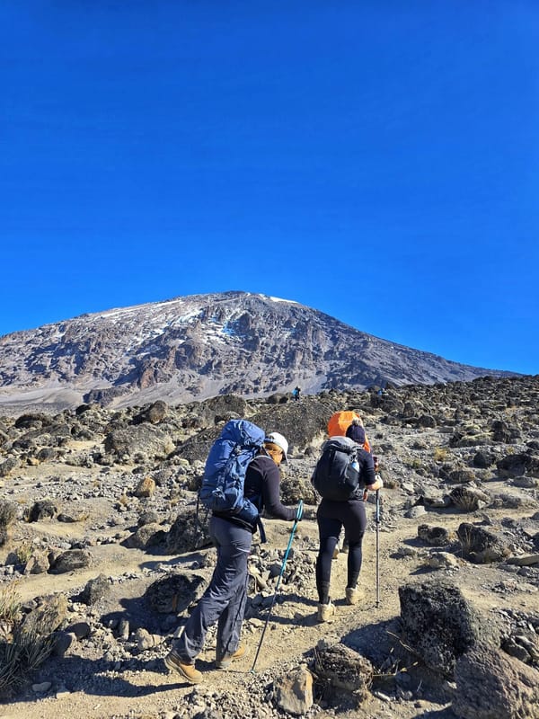 Climbers approaching the snow line on the Kibo summit cone.