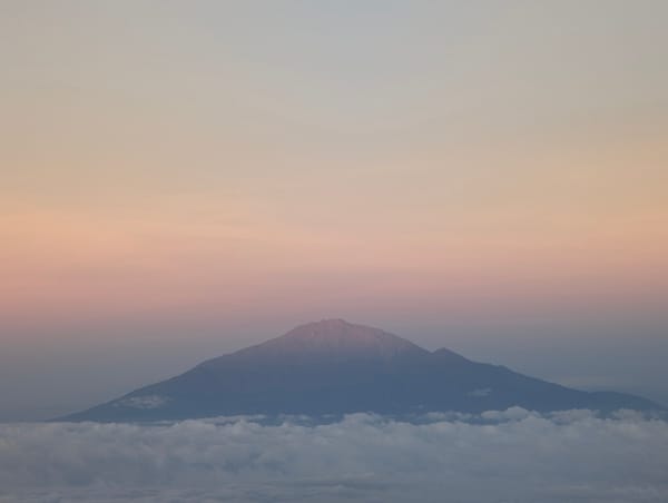 Mt Kilimanjaro at dawn, framed by wildflowers on the lower slopes.