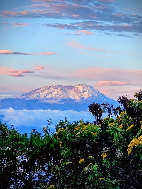 Mount Kilimanjaro at sunset in the pink hour above the cloud line.