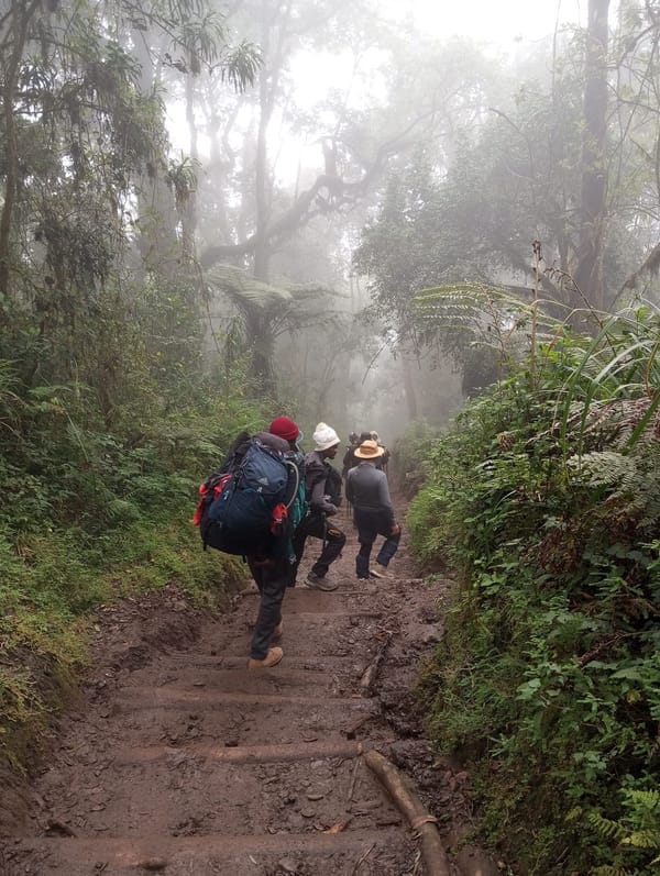 Climbers in the misty rainforest section of the lower mountain.