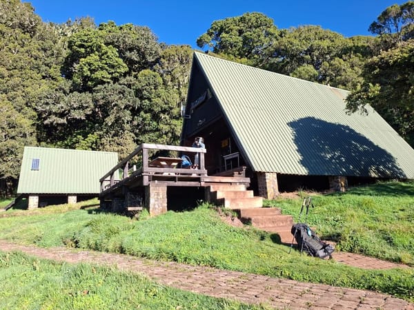 Mandara Hut exterior surrounded by montane forest.
