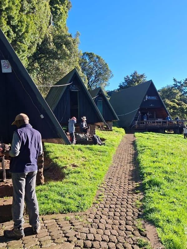 The A-frame Mandara Hut cluster on the Marangu Route.