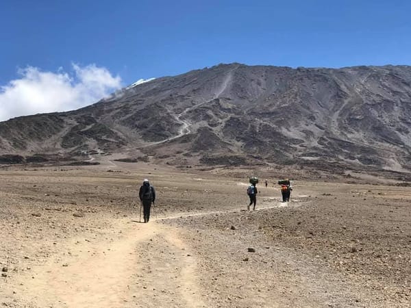 The trail toward Mawenzi Peak on the Marangu Route.