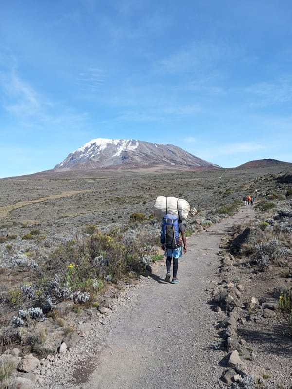 A porter carrying the team's load on the upper Marangu route, Kibo ahead.