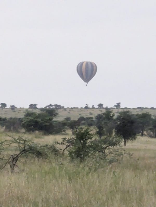 Pre-dawn balloon drifting low over the Serengeti.