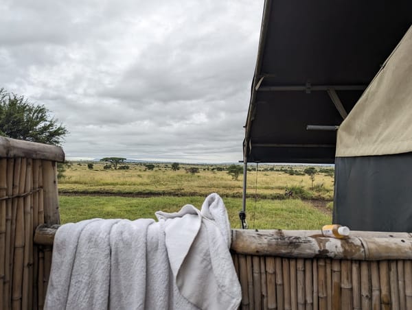 Bucket-shower view from a tented camp at first light.