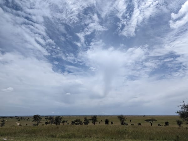 A rain shaft streaks down across the Serengeti horizon.