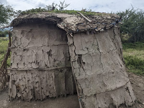 A Maasai family hut, close up.