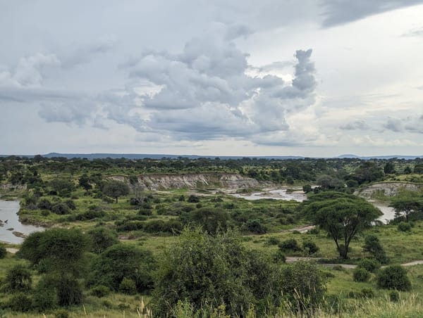 A bend in the Tarangire River from the escarpment.