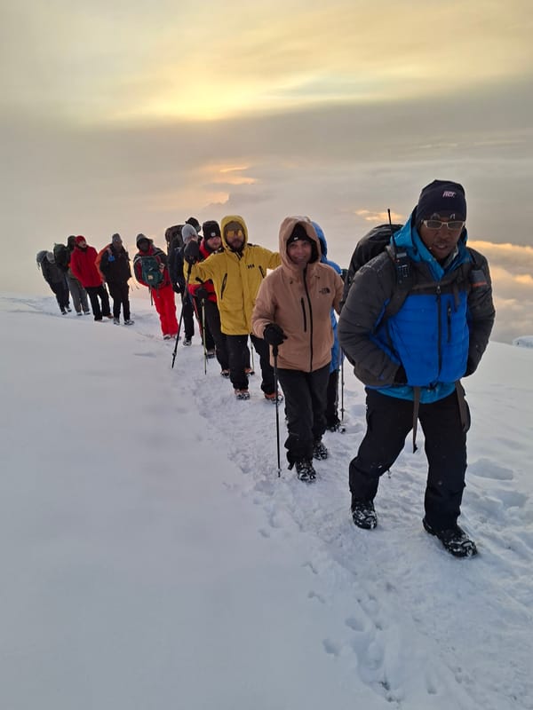 A single file of climbers and guides crossing the summit snow above the cloud sea at sunrise.