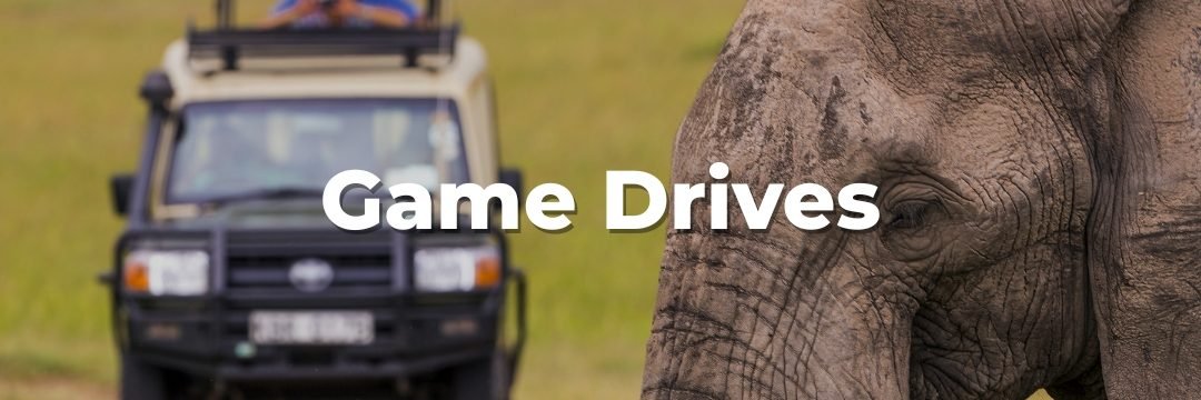 Game Drive