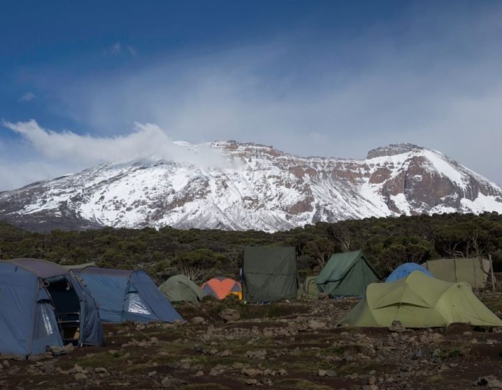 Go kilimanjaro (10)