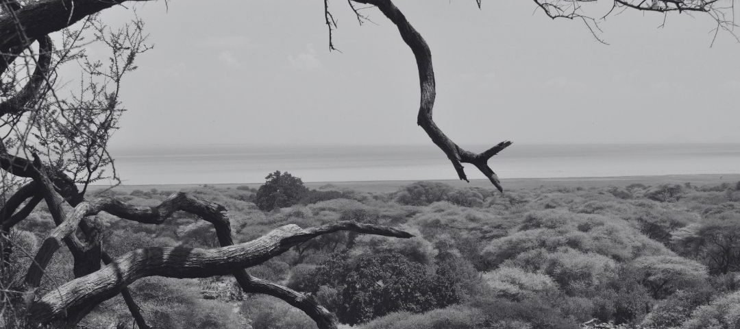Lake Manyara National Park