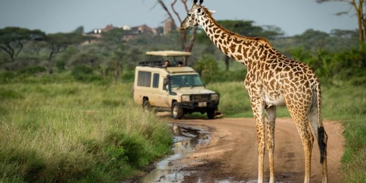 tanzania-Tour-Operator-1.jpg